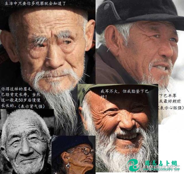 十二生肖长寿的面相，看看自己有没有？