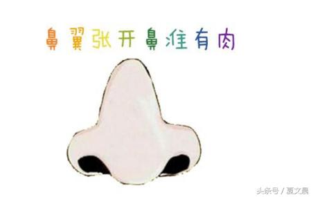 这种面相的人，天生最会招财，注定一生好命！