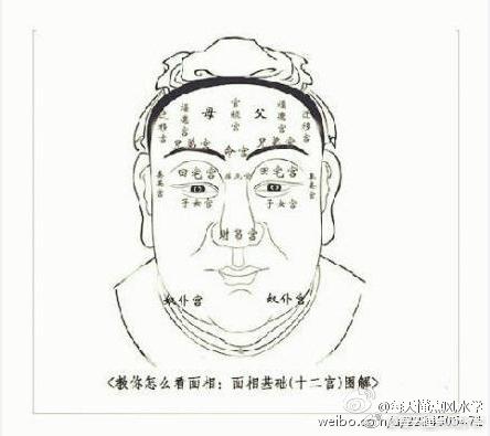 教你怎么看面相：面相基础图解