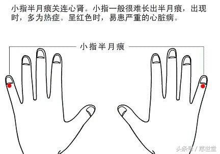 想知道算命师傅，是怎样看一个人身体是否健康的？来，慈世堂教大家怎么从手相上看出！学会了快帮家人看看！