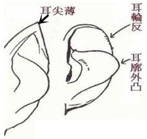 超准！这样面相女人最克夫！