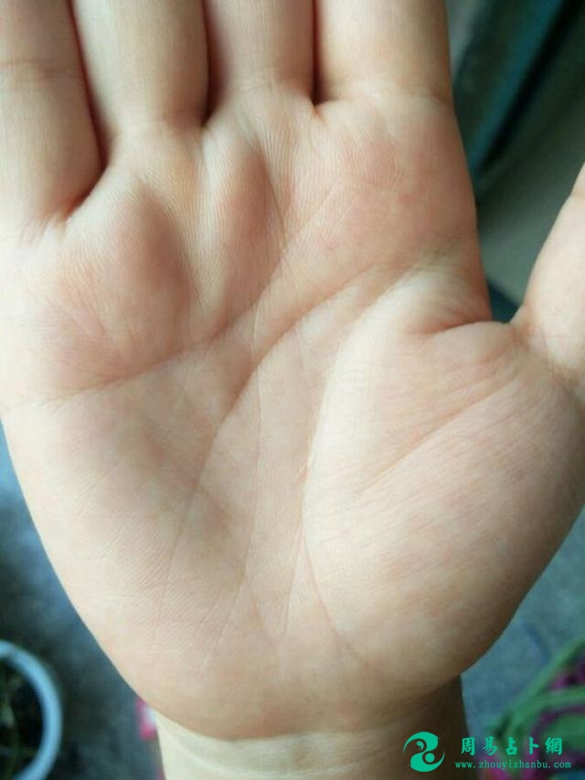 大器晚成：玉不琢不成器，此手相越老越好命，越老越幸福！