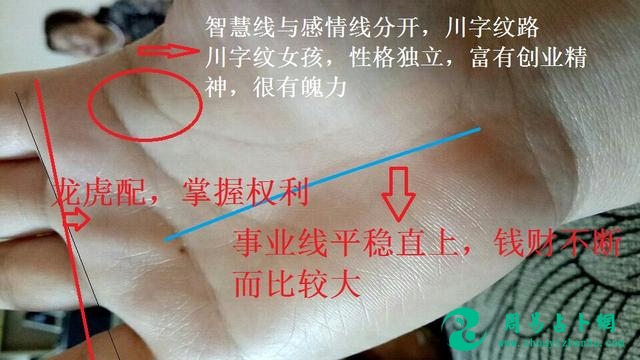 这几种手相特征，不论男女早晚会大财，家财万贯不求人