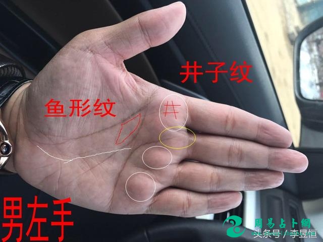 手相：手有“鱼纹”，富贵一生，老婆貌美内助！