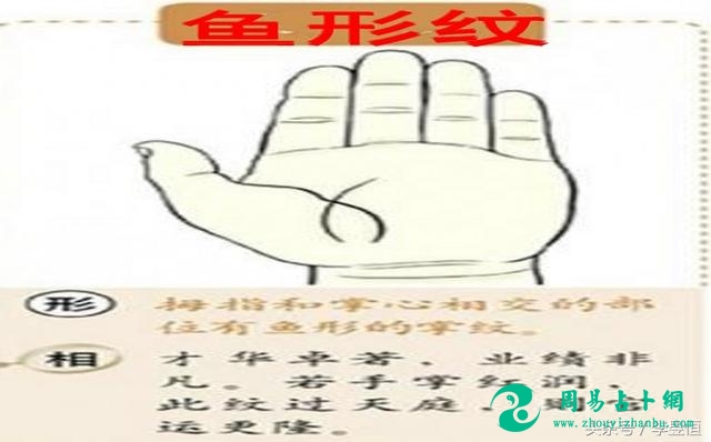 手相：手有“鱼纹”，富贵一生，老婆貌美内助！