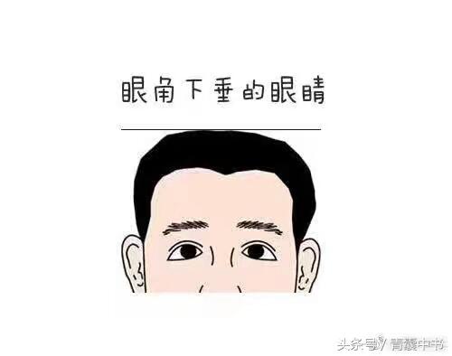 面相中，眼角下垂的眼睛
