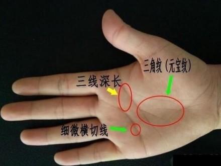 一夜暴富的手相，财运暴涨，金山银山没法挡！