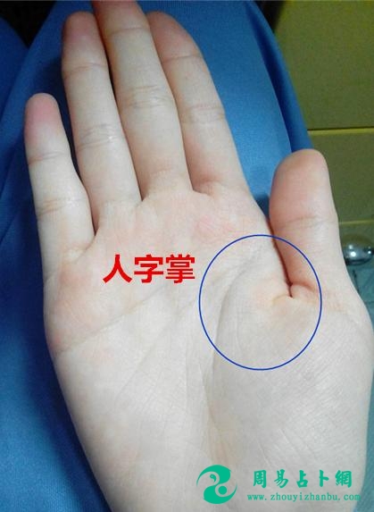 你家必定有一人有的手相——人字掌，女有此掌是吉，男有此掌是凶