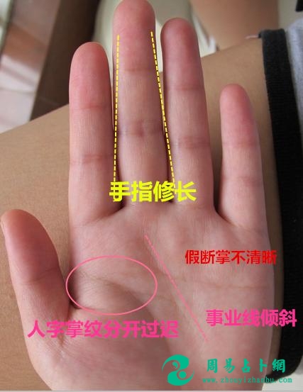你家必定有一人有的手相——人字掌，女有此掌是吉，男有此掌是凶