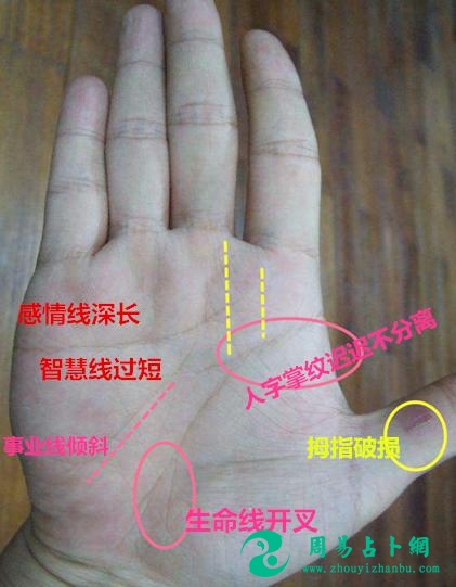 你家必定有一人有的手相——人字掌，女有此掌是吉，男有此掌是凶