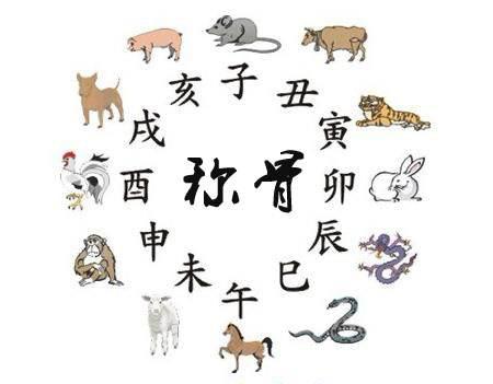为什么袁天罡称骨算命不准