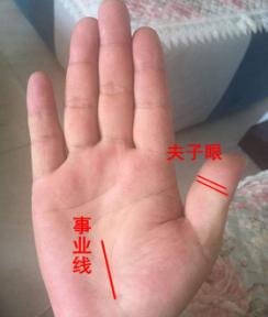 “旺财旺运”的女人手相，堪比“摇钱树”，一生不差钱！