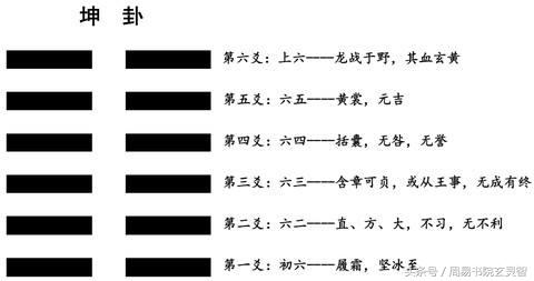 学习易经，你应该知道的坤卦后三爻爻辞！