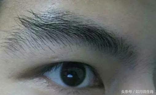 面相学：到处留情，沾花惹草的花花公子面相