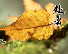 2019年处暑后一天七月廿四出生男孩命好吗,今天日子如何？